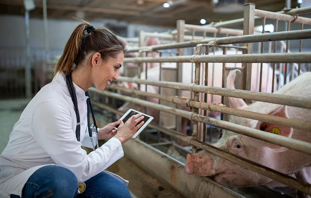 Barn Biosecurity